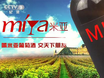 CCTV9米亚宣传片